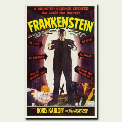 Frankenstein 24x38inch 1931 Old Horror Movie Silk Poster Hot Door Wall Decals   152981067992
